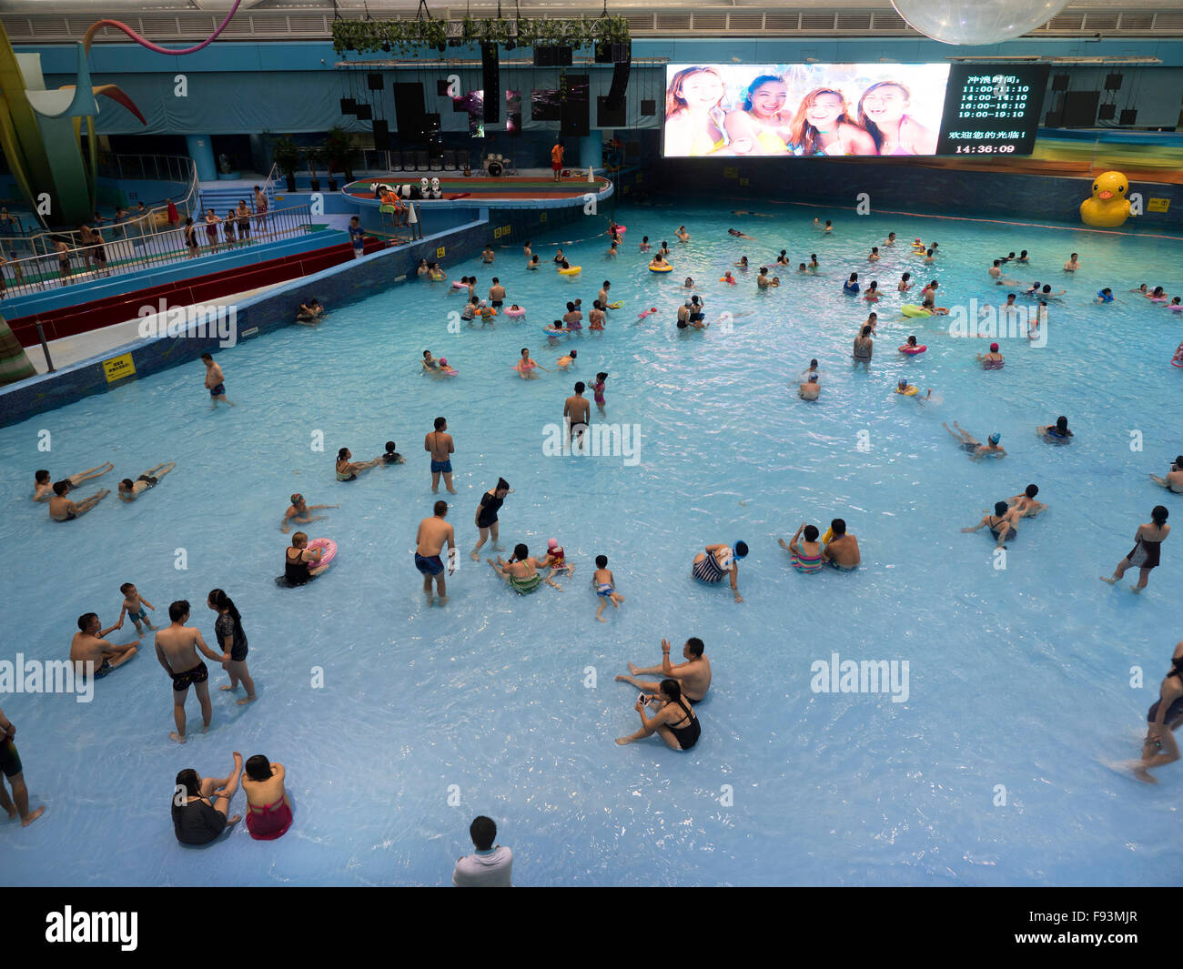 Piscina coperta acqua cube al Centro Olimpico di Pechino, Cina, Asia Foto Stock