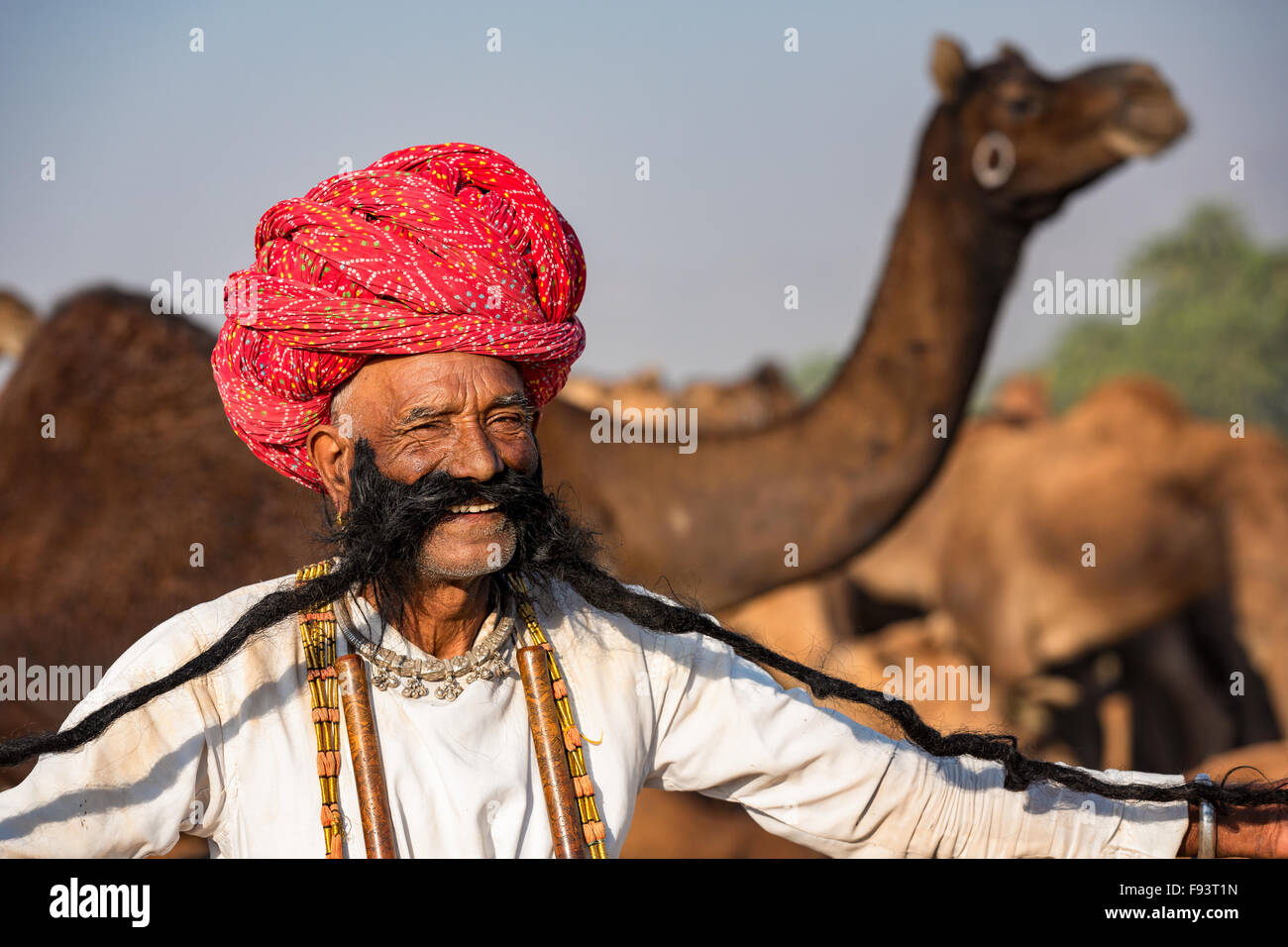 Ritratto di un senior del Rajasthan con barba lunga e turbante, Pushkar, Rajasthan, India Foto Stock