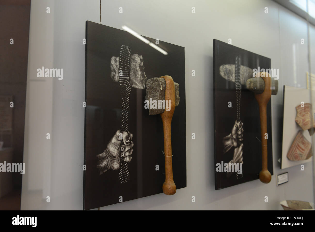 Artefatti indigeni (ax) presso il Museo delle culture indigene. Ponce, Puerto Rico. Isola dei caraibi. Stati Uniti d'America territorio Foto Stock