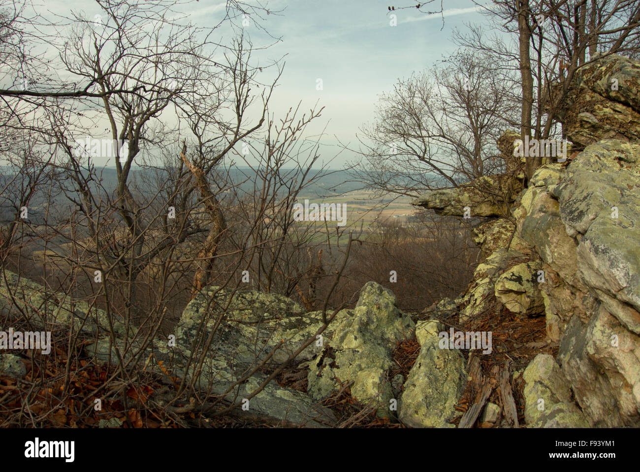 Guardando attraverso le creste e valli dal Tuscarora Trail in un caldo pomeriggio in dicembre. Foto Stock