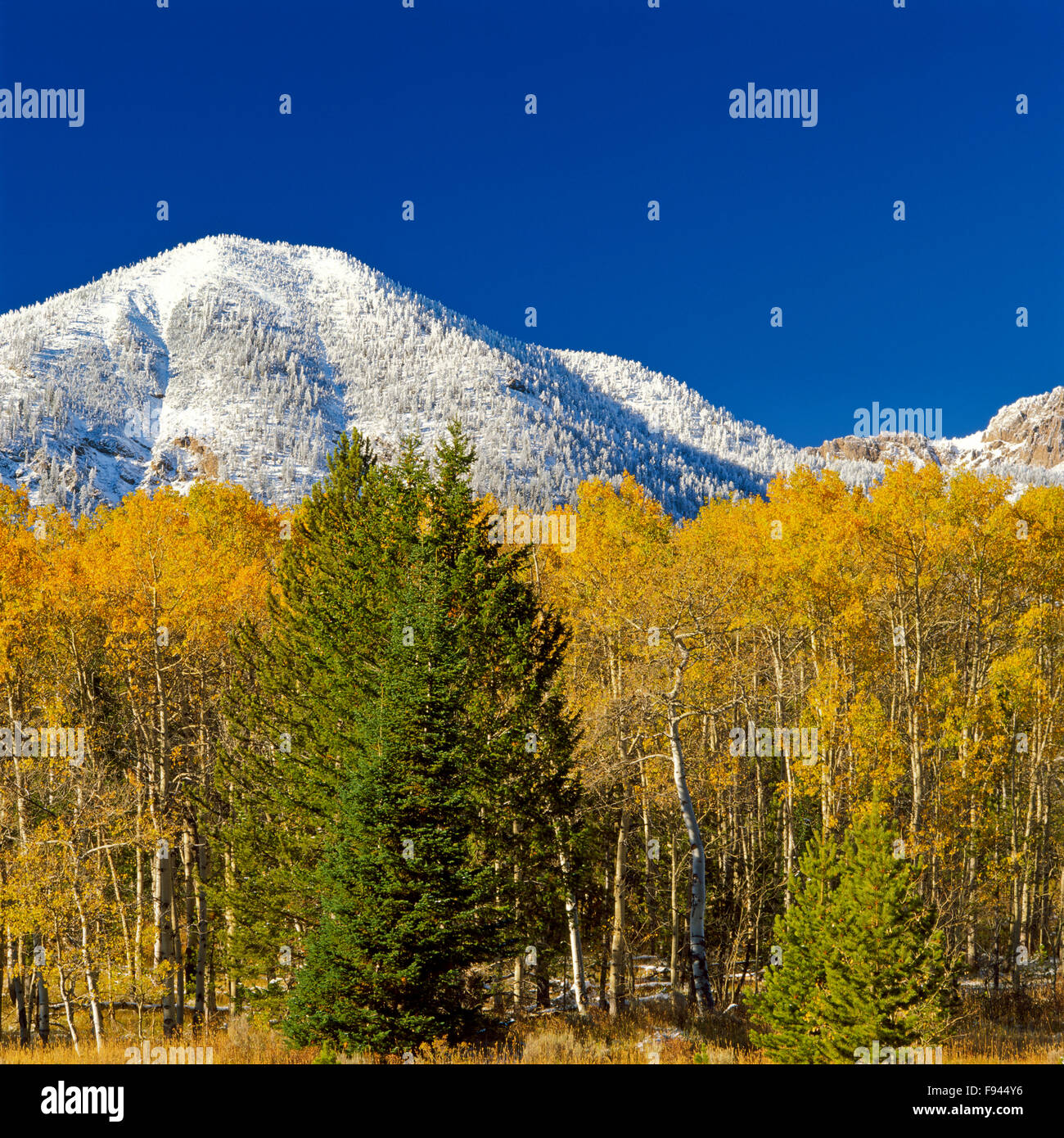 I colori dell'autunno sotto il Centennial Mountains al Red Rock passano sulla montana-confine idaho Foto Stock