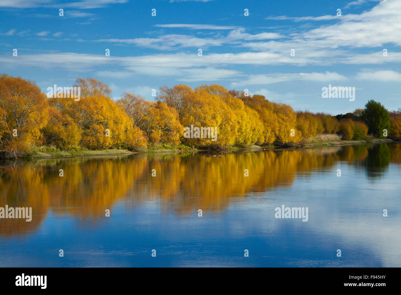 Colore di autunno e Clutha River a Kaitangata, vicino Balclutha, Sud Otago, Isola del Sud, Nuova Zelanda Foto Stock