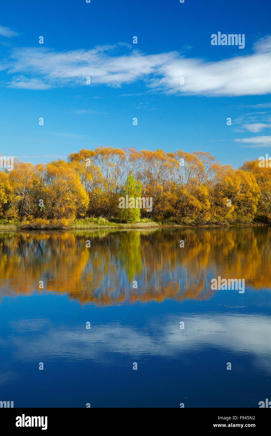 Colore di autunno e Clutha River a Kaitangata, vicino Balclutha, Sud Otago, Isola del Sud, Nuova Zelanda Foto Stock