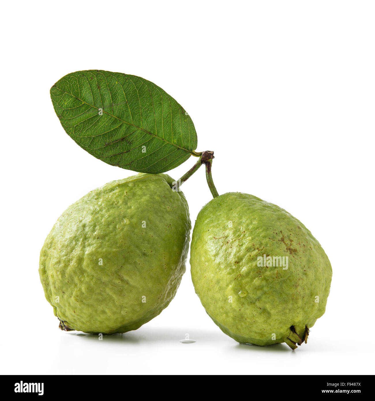 Frutto guava isolato su bianco Foto Stock