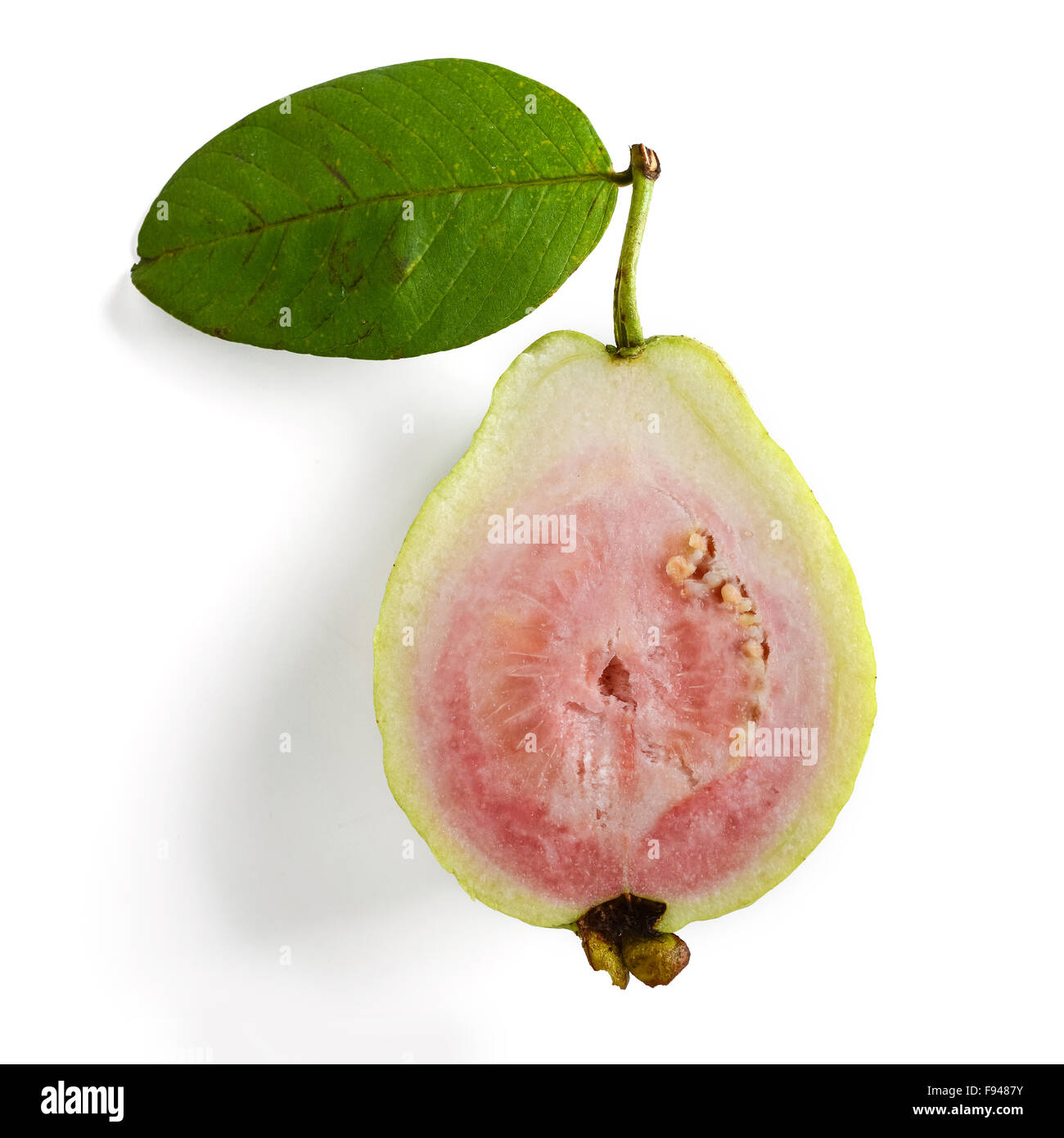 Slice di guava rosa su sfondo bianco Foto Stock