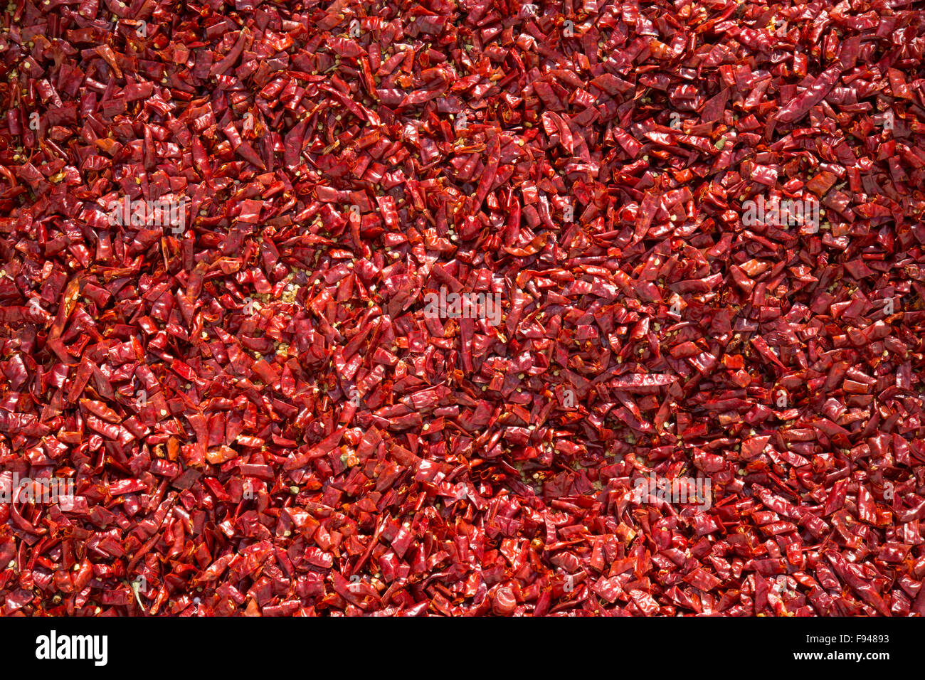Red hot chili pepper texture di sfondo al sole Foto Stock