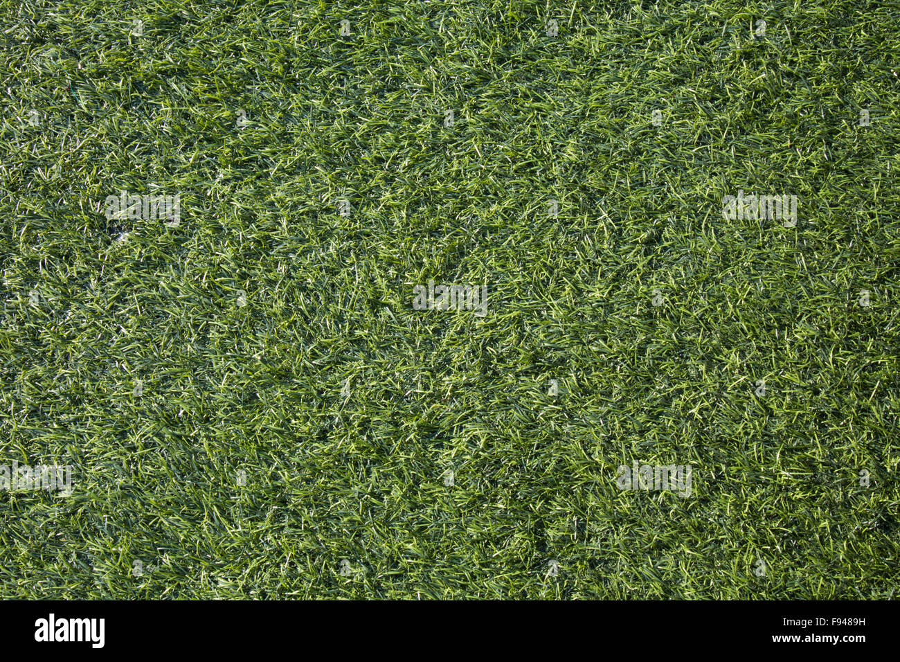 Artificiali erba verde texture di sfondo in presenza di luce solare Foto Stock