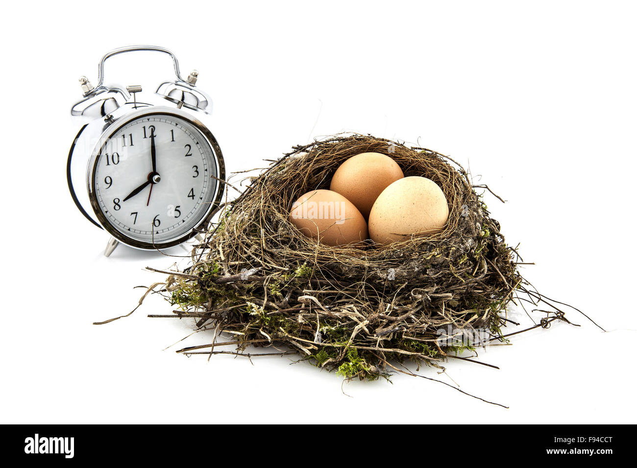 Nido di uccelli con uova e un orologio su sfondo bianco Foto Stock