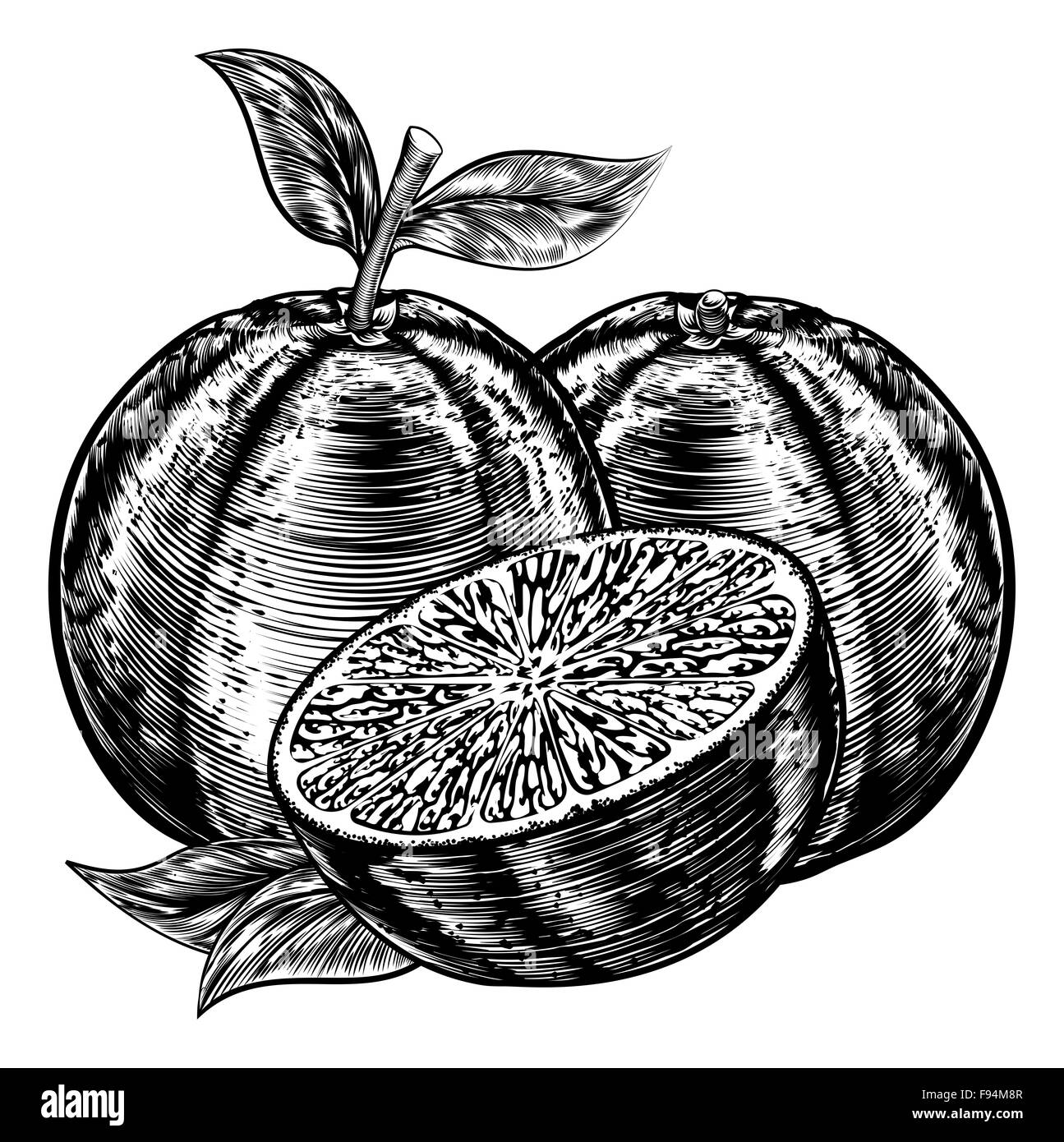 Un disegno originale di fettine di arance frutto in un vintage xilografia o stile woodblock Foto Stock