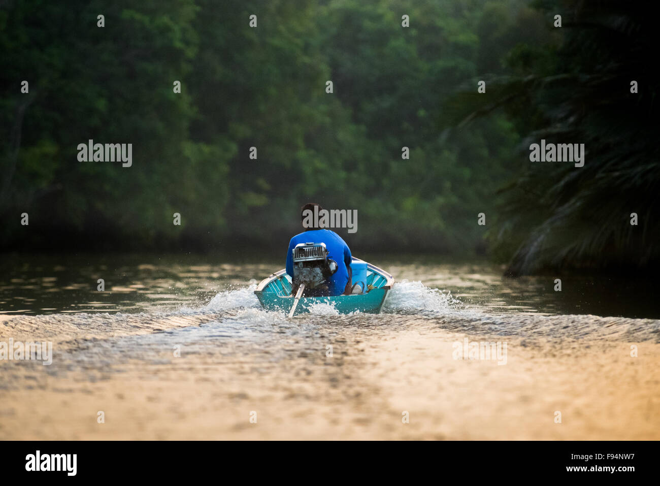 Un uomo che viaggia su un battello fluviale che si muove sul fiume Sangatta nel Kutai orientale, Kalimantan orientale, Indonesia. Foto Stock