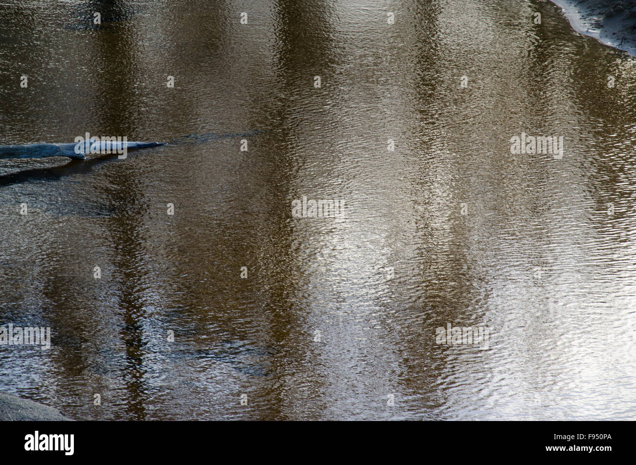 Tranquillo lago o fiume con riflessi degli alberi circostanti e un tronco semi sommerso in Australia Foto Stock