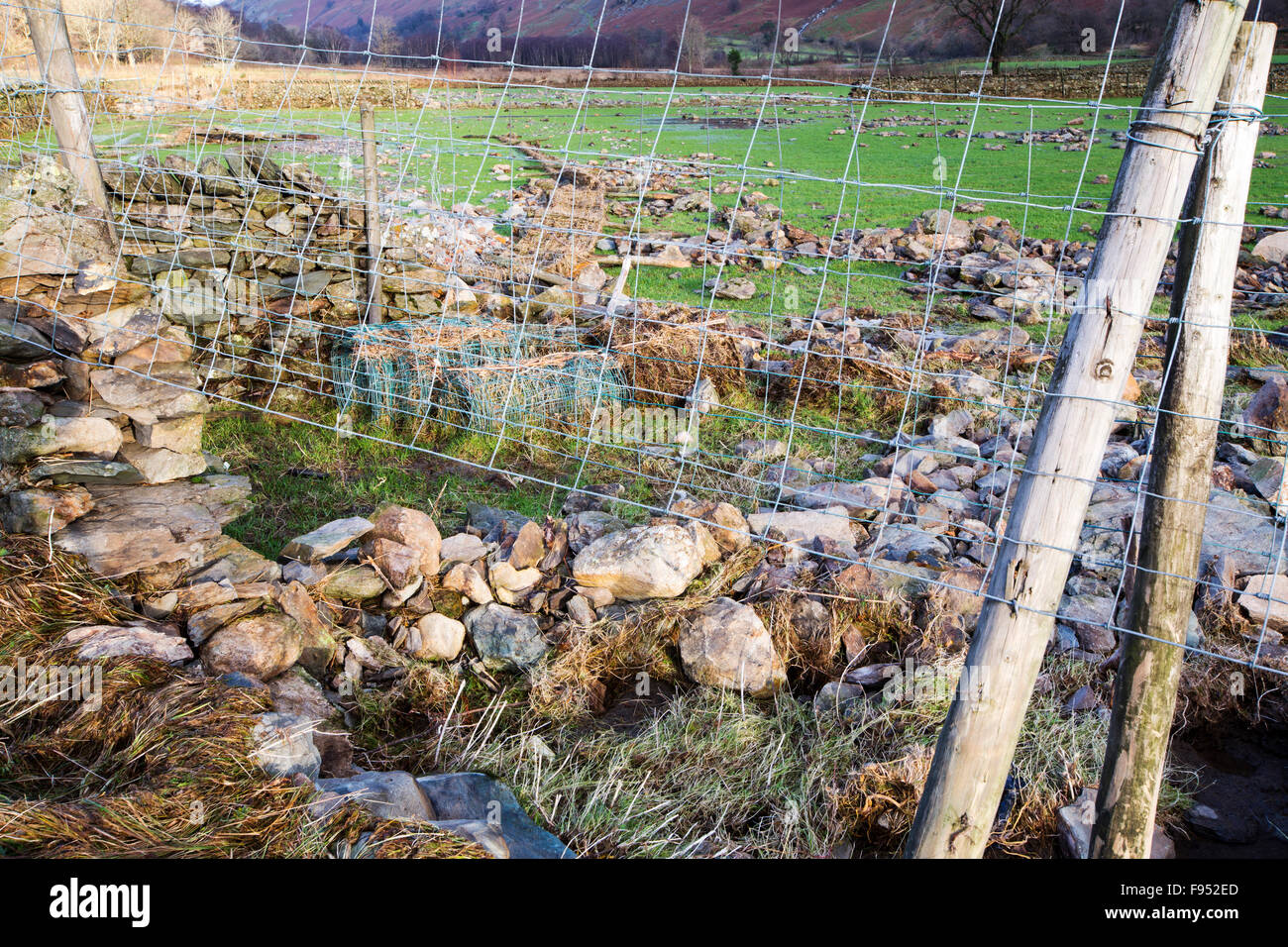 Sabato 5 dicembre 2015, Storm desmond si è schiantato nel Regno Unito, la produzione del Regno Unito più alto mai 24 ore totali di precipitazione a 341.4mm. Ha allagato il Lakeland Village Glenridding, che si stava appena cominciando a riparazione quando un altro periodo di heavy rain per mercoledì 9 dicembre hanno causato la Glenridding Beck di scoppiare le sue banche, provocando ulteriore distruzione. Questo colpo preso giovedì 10 dicembre mostra pareti appiattite dalla acque alluvionali. Foto Stock