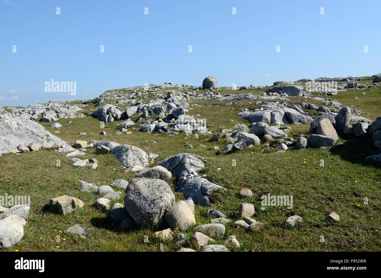 Coste rocciose a cani Bay Roundstone Connemara County Galway Irlanda Foto Stock