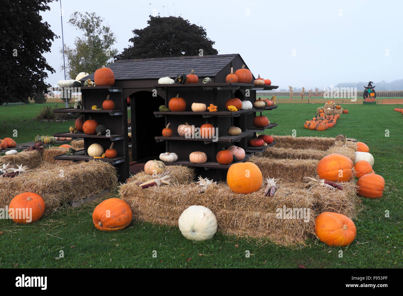 Autunno display con una varietà di zucche, zucche e altre decorazioni di Halloween presso un agriturismo mercato nel nord dell'Illinois. Foto Stock