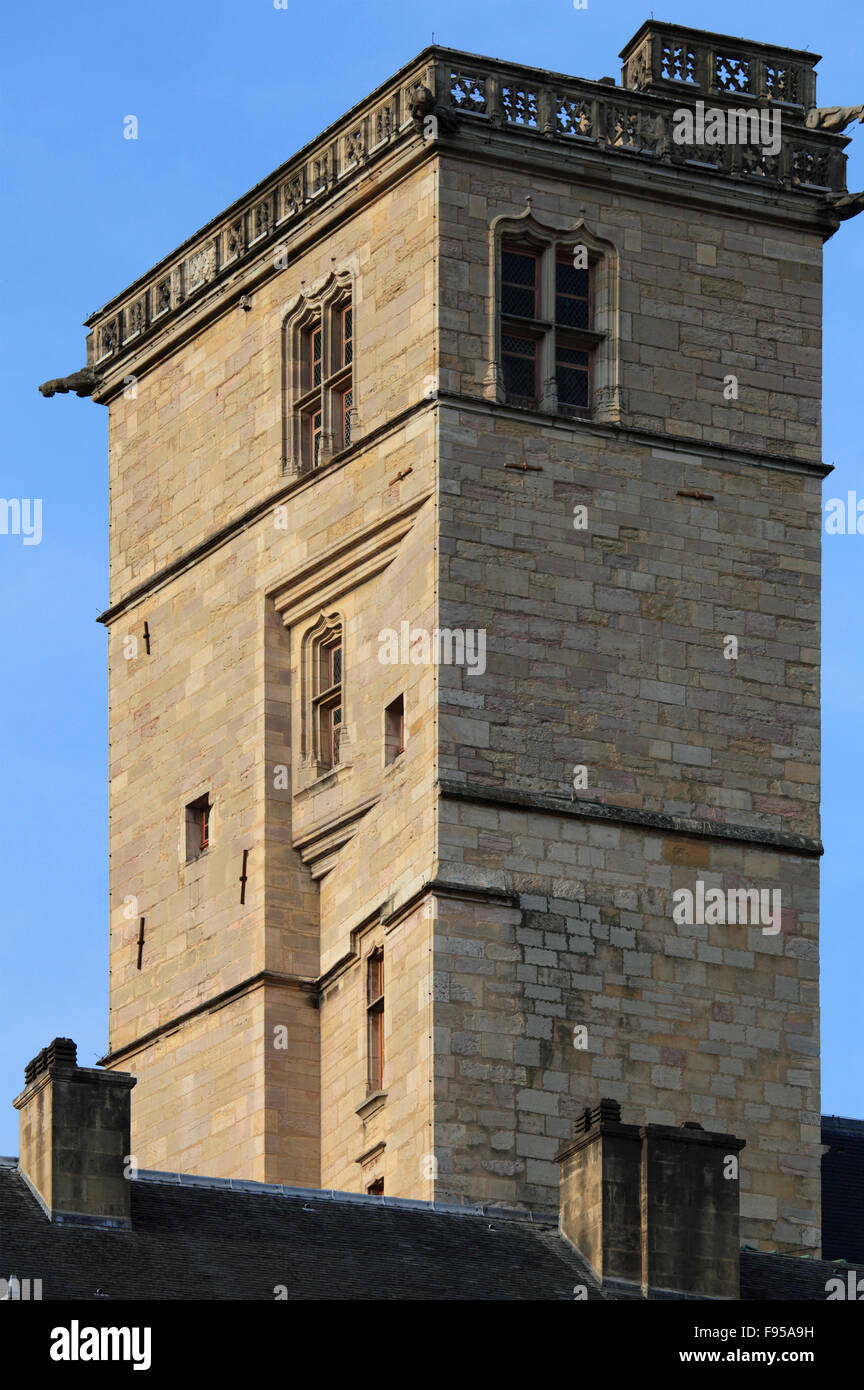 Francia, Bourgogne, Dijon, Tour Philippe-le-Bon, tower Foto Stock