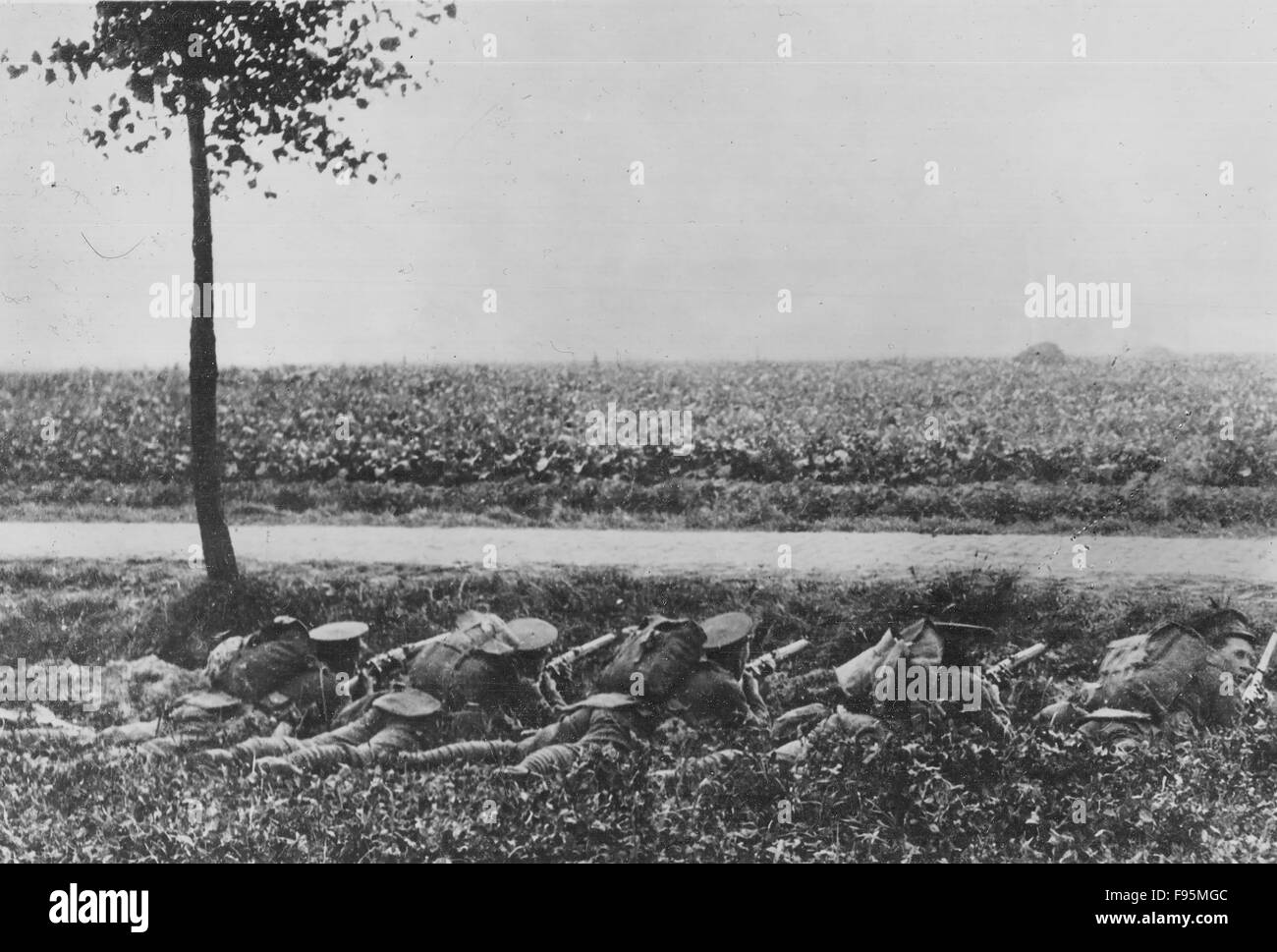 British anteriore, Belgio, 1914. Foto Stock