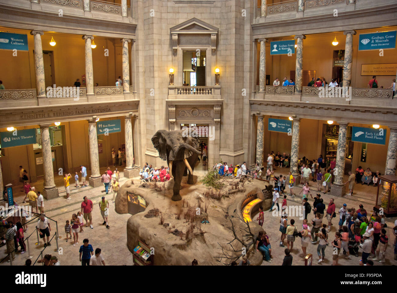 Museo di Storia Naturale, Washington DC Foto Stock