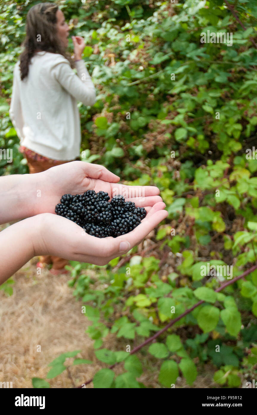 More crescere abbondantemente lungo le strade di campagna della collina di ciottoli vicino a Victoria, BC Foto Stock
