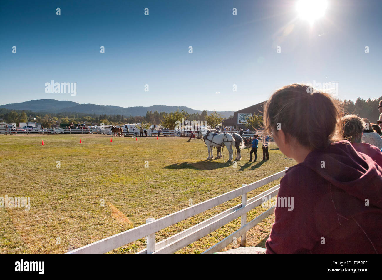 Eventi presso la Fiera Saanich in Victoria, BC incluso giostre, prodotti alimentari e agricoltura Foto Stock