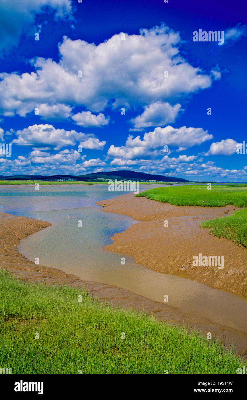 Shepody National Wildlife Area, Baia di Fundy, New Brunswick, Canada Foto Stock