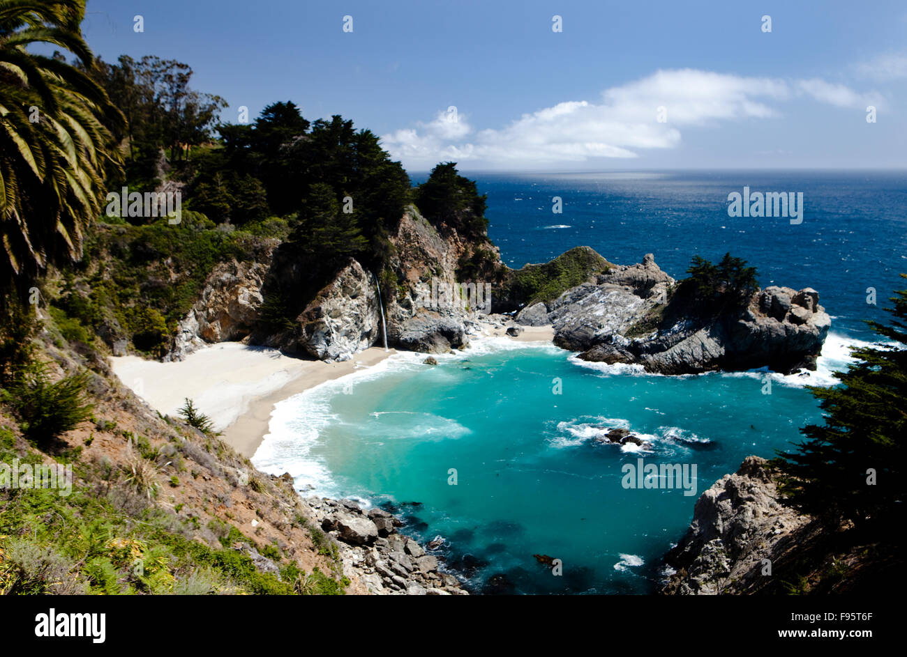 McWay cade, Julia Pfeiffer Burns State Park, Big Sur, CALIFORNIA, STATI UNITI D'AMERICA Foto Stock