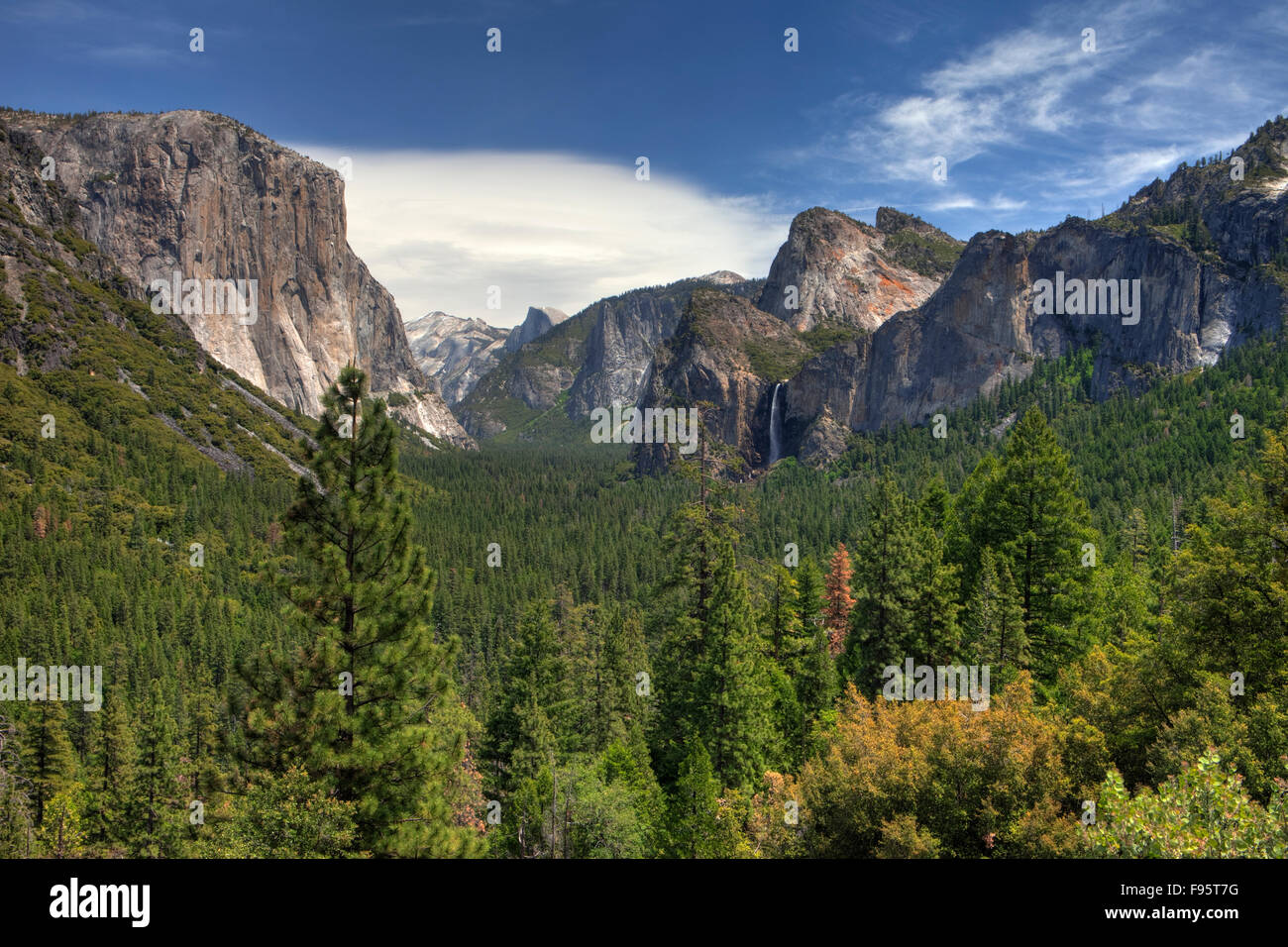 Parco Nazionale di Yosemite in California Stati Uniti d'America Foto Stock