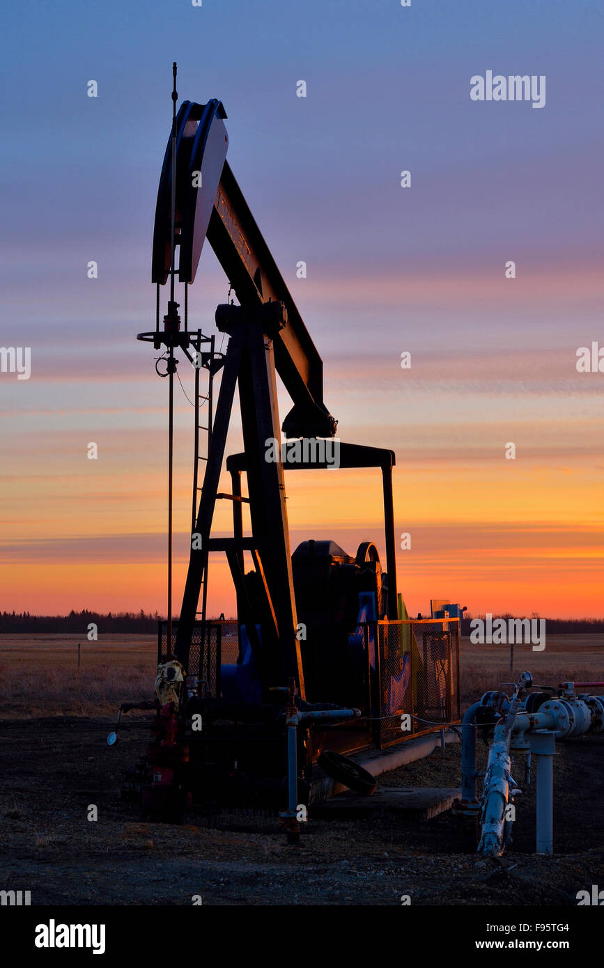 Un'immagine verticale di un martinetto della pompa funzionante a pompaggio di olio grezzo da una testa di pozzo stagliano dal sole al tramonto in Alberta rurale Foto Stock