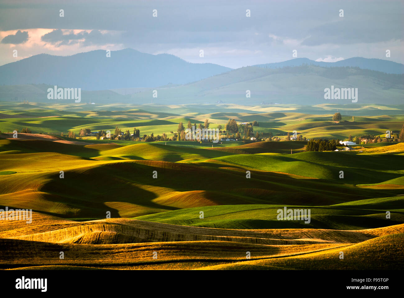 Sunrise con un po' di nebbia in background. Il Palouse Scenic Byway, situato nel cuore della regione di Palouse in Foto Stock