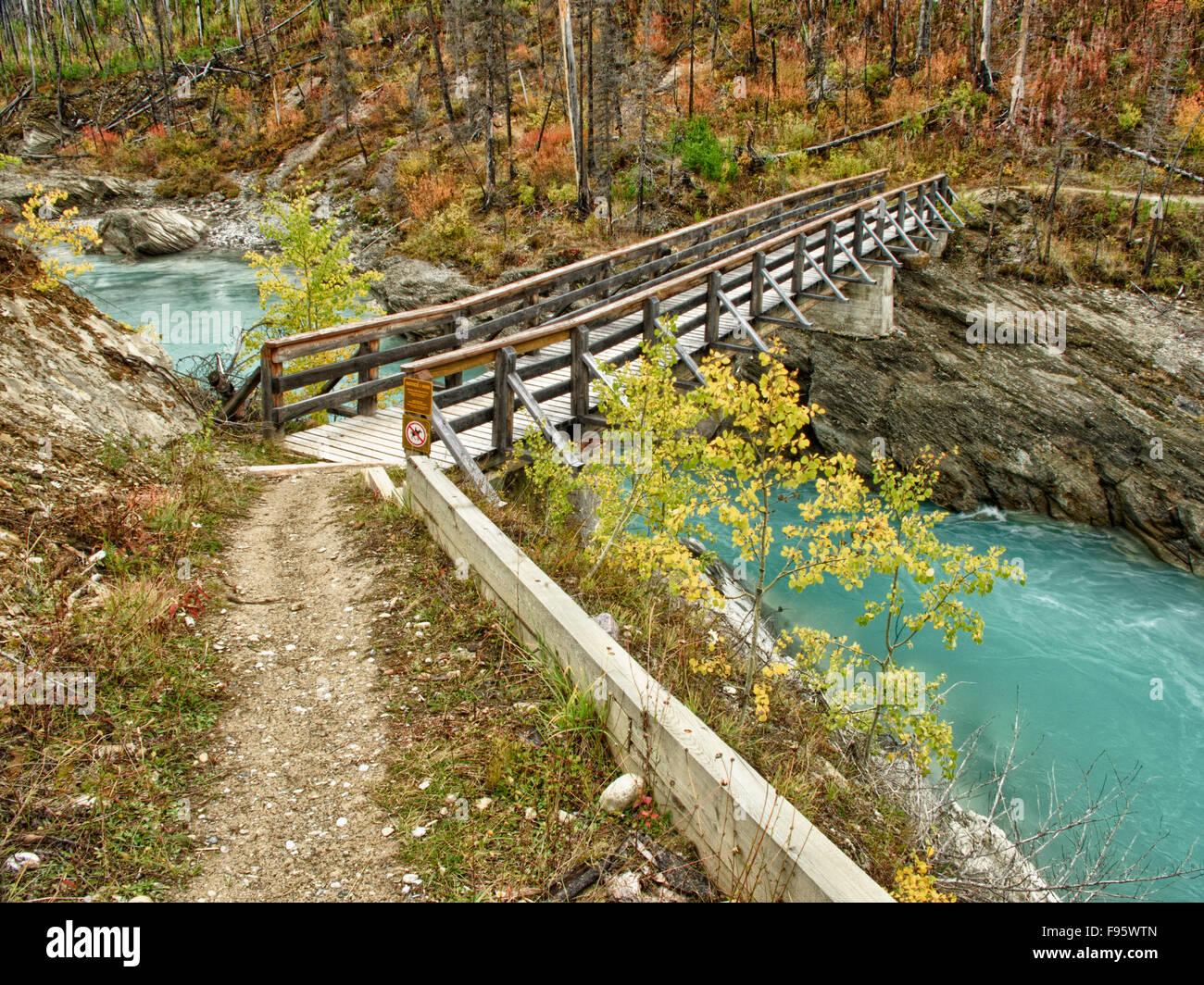 Ponte sul Fiume vermiglio sul Floe Lago Trail, Kootenay National Park, British Columbia Foto Stock