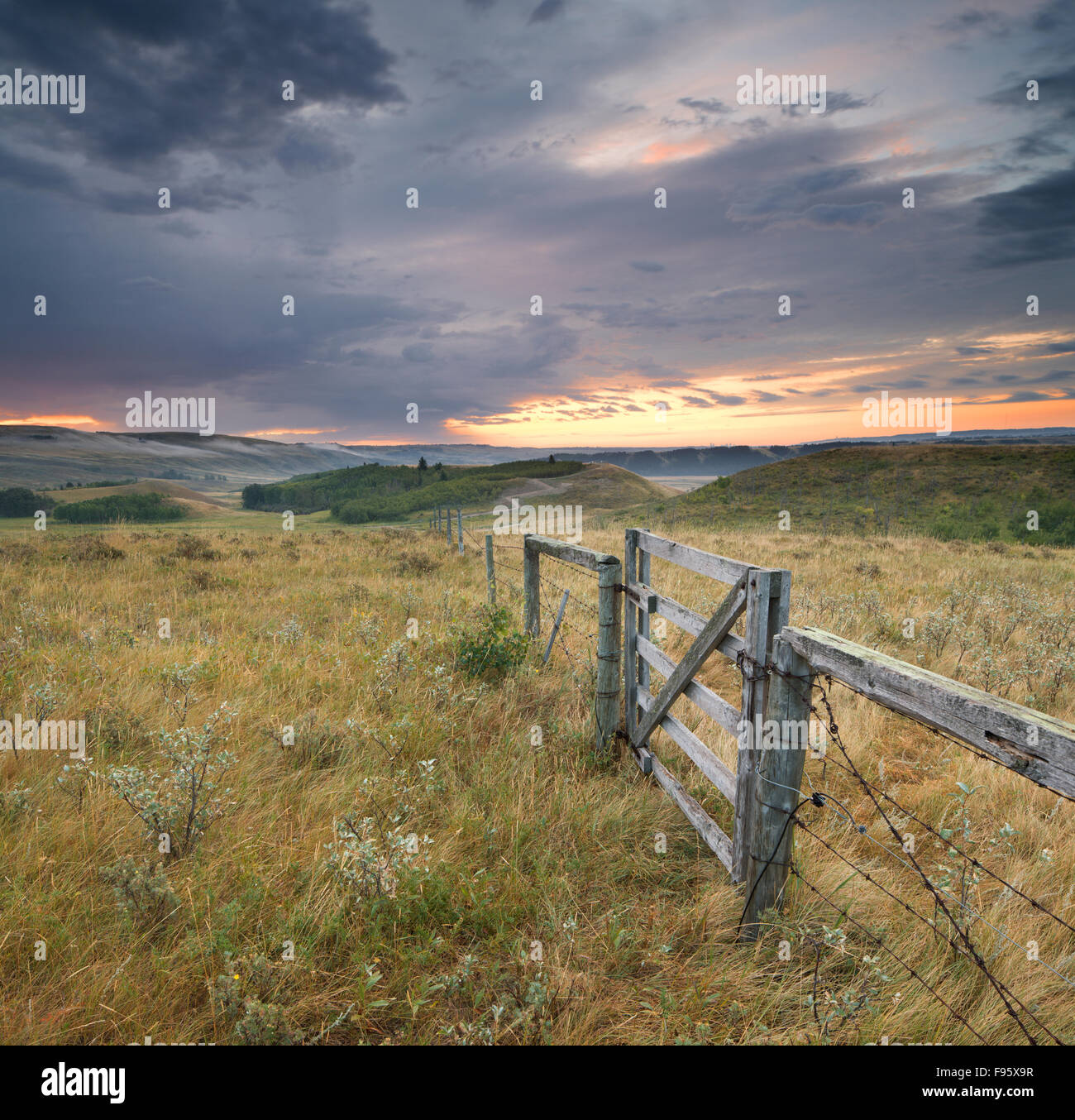 Glenbow Ranch Parco Provinciale, Alberta, Canada Foto Stock