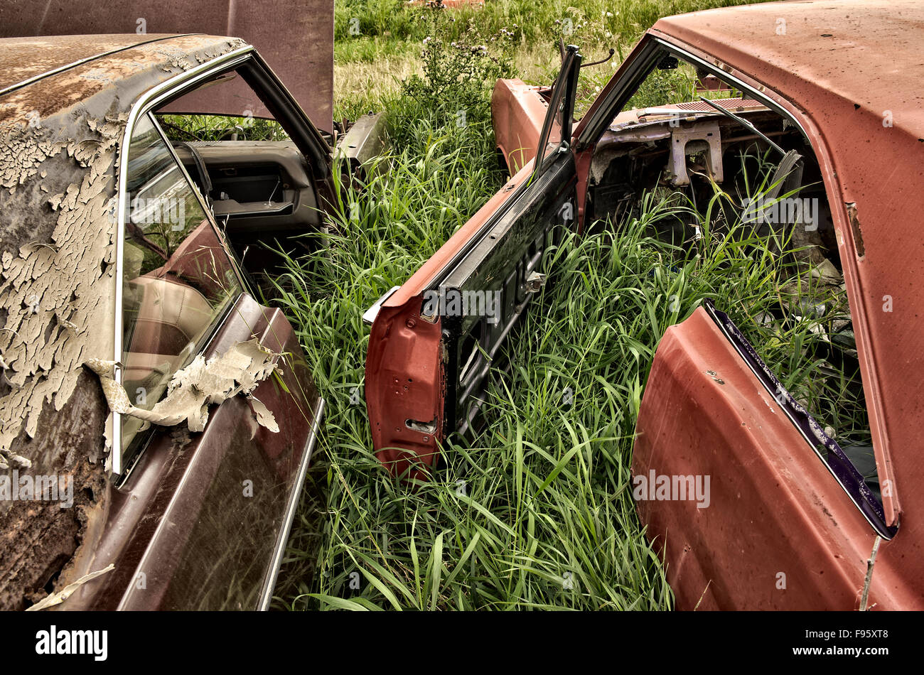 Vecchia auto nel cortile autowrecking, Trochu, Alberta Foto Stock