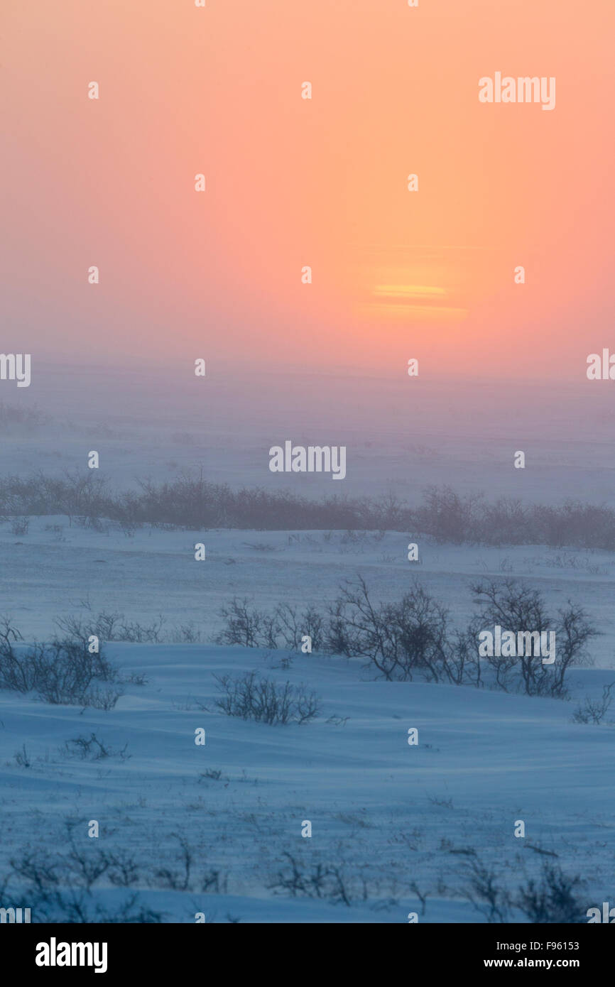 Arctic tramonto, Cape Churchill, Wapusk National Park, Manitoba. Foto Stock