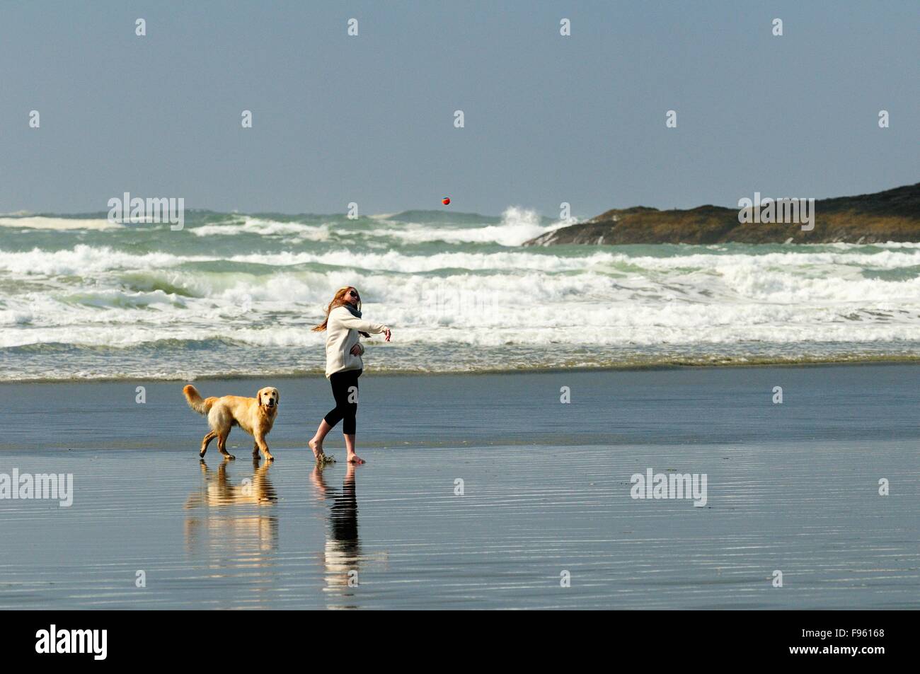 Una giovane donna e il suo cane (un Golden Retriever) giocando con una palla sulla spiaggia di Chesterman vicino a Tofino, BC. Foto Stock