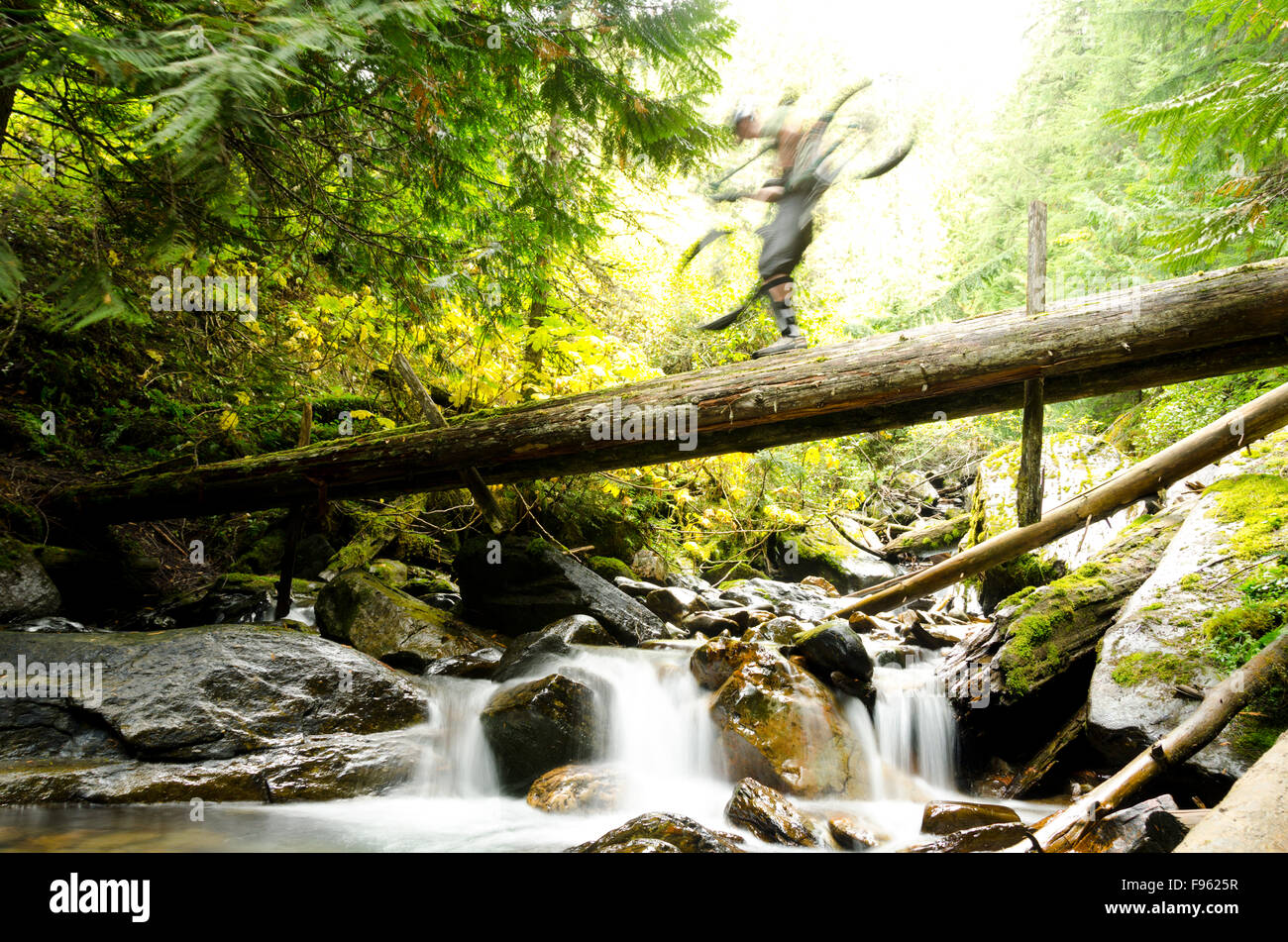 Un mountain biker sceglie di attraversare un fiume attraverso un ponte di registro, Lockhart Creek, Purcells, British Columbia Foto Stock