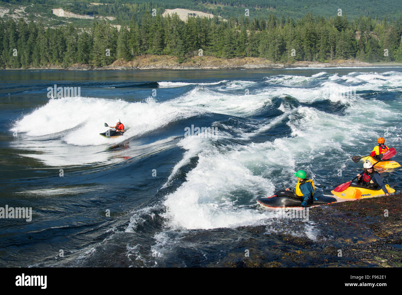 Whitewater kayakers su flood marea a Skookumchuck si restringe, Sechelt ingresso, Sunshine Coast, British Columbia, Canada Foto Stock