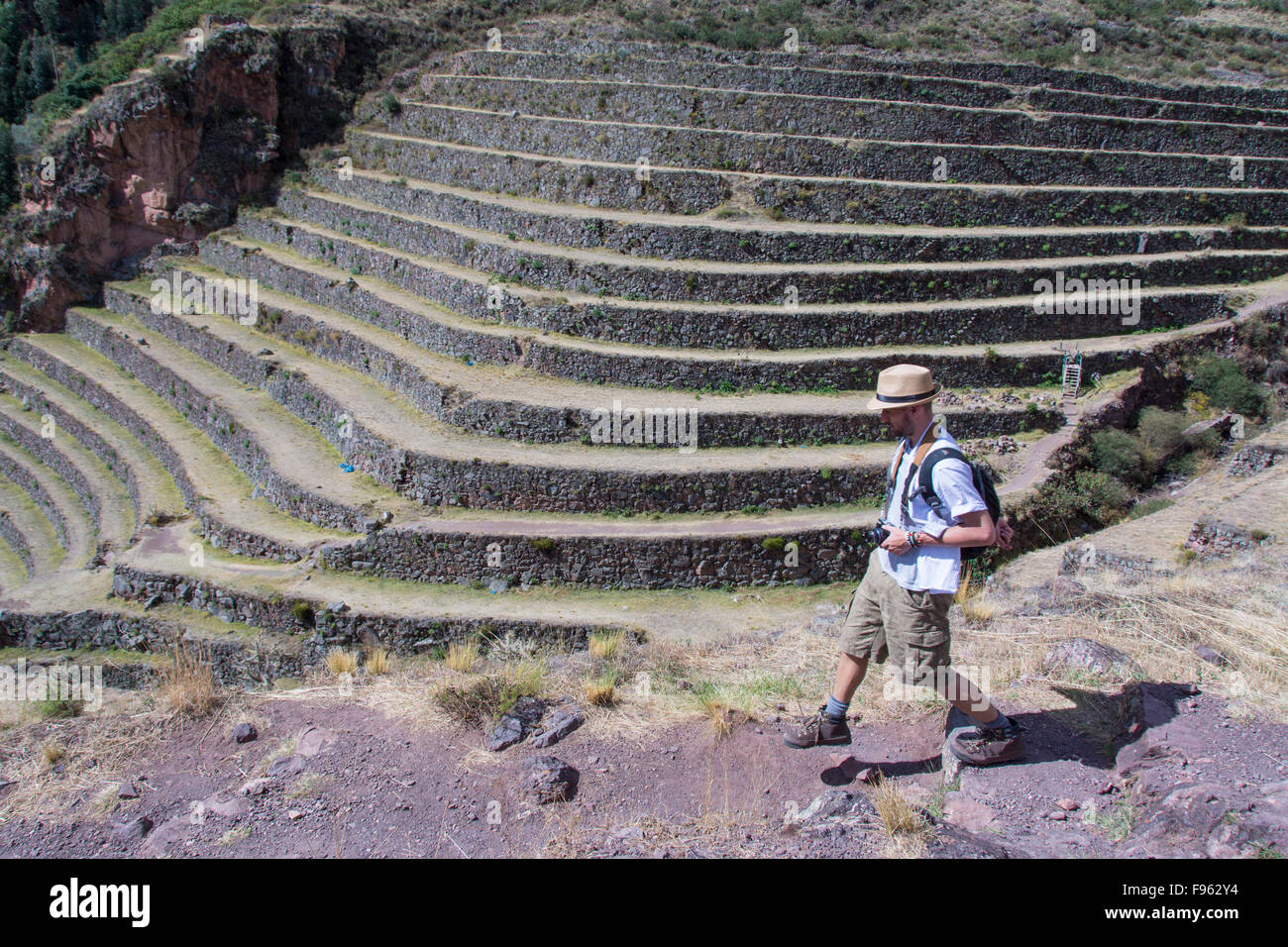 Rovine Inca di Pisac, Perù Foto Stock
