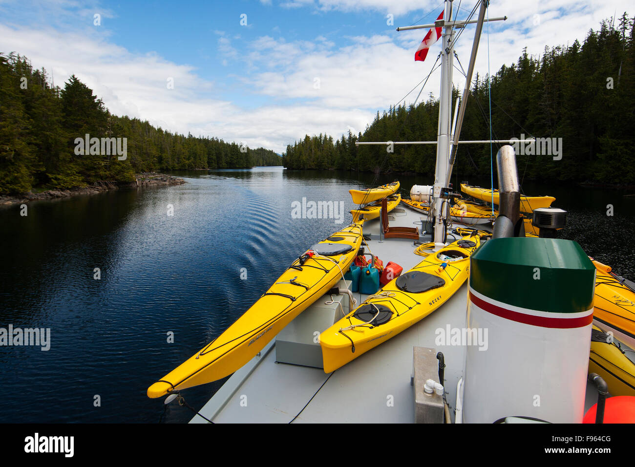 MV Columbia III transita uno stretto canale di acqua all'interno del grande orso foresta pluviale. British Columbia Central Coast, inglese britannico Foto Stock