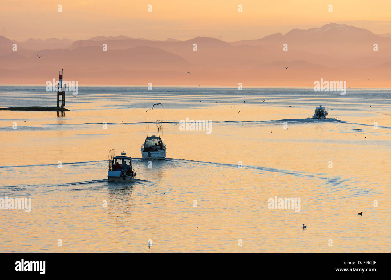Pesca sportiva barche di testa fuori all'alba per una giornata sull'acqua, la voce al di fuori della baia di Hardy. Foto Stock