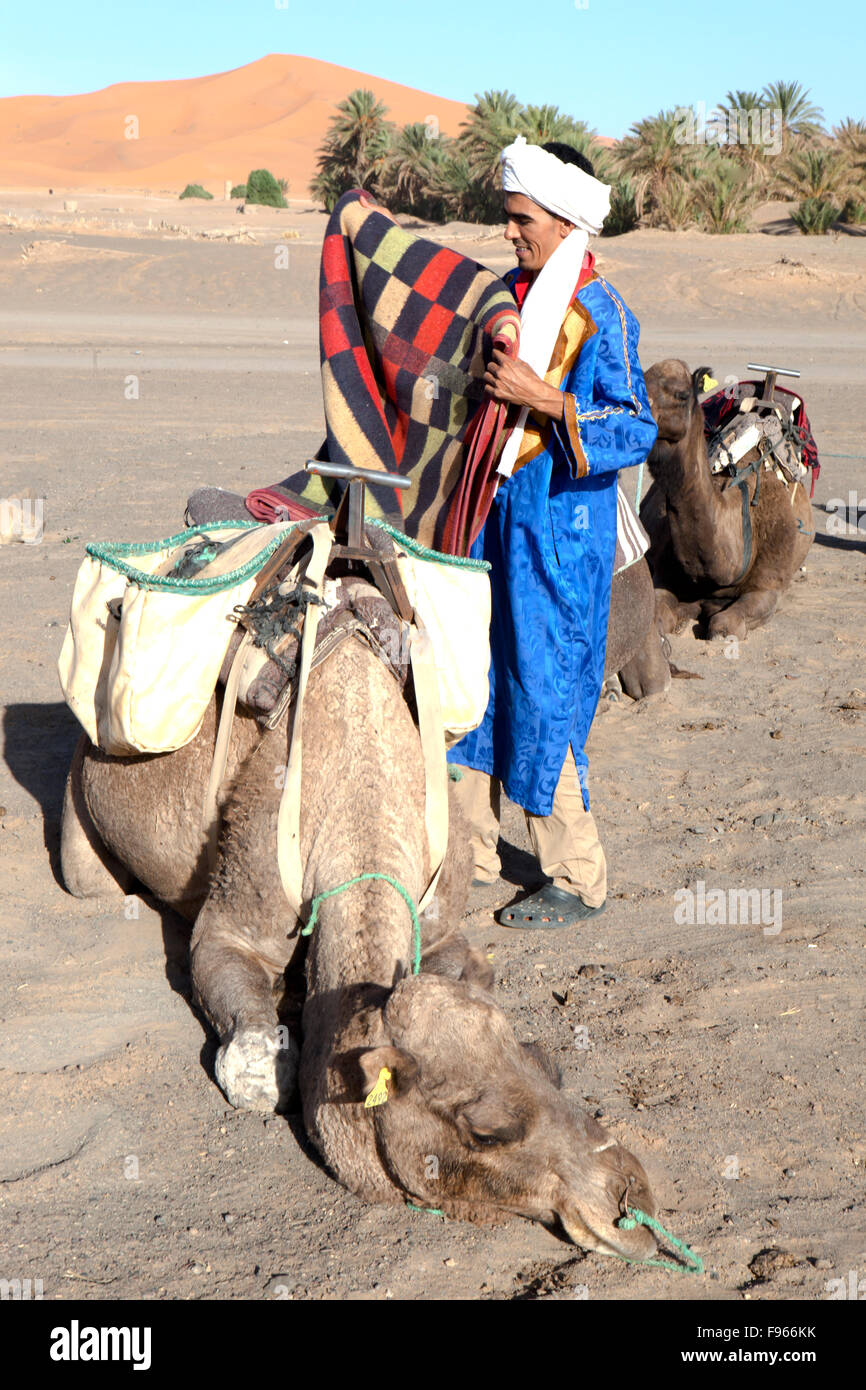 Cammelli Erg Chebbi Marocco Sahara Foto Stock