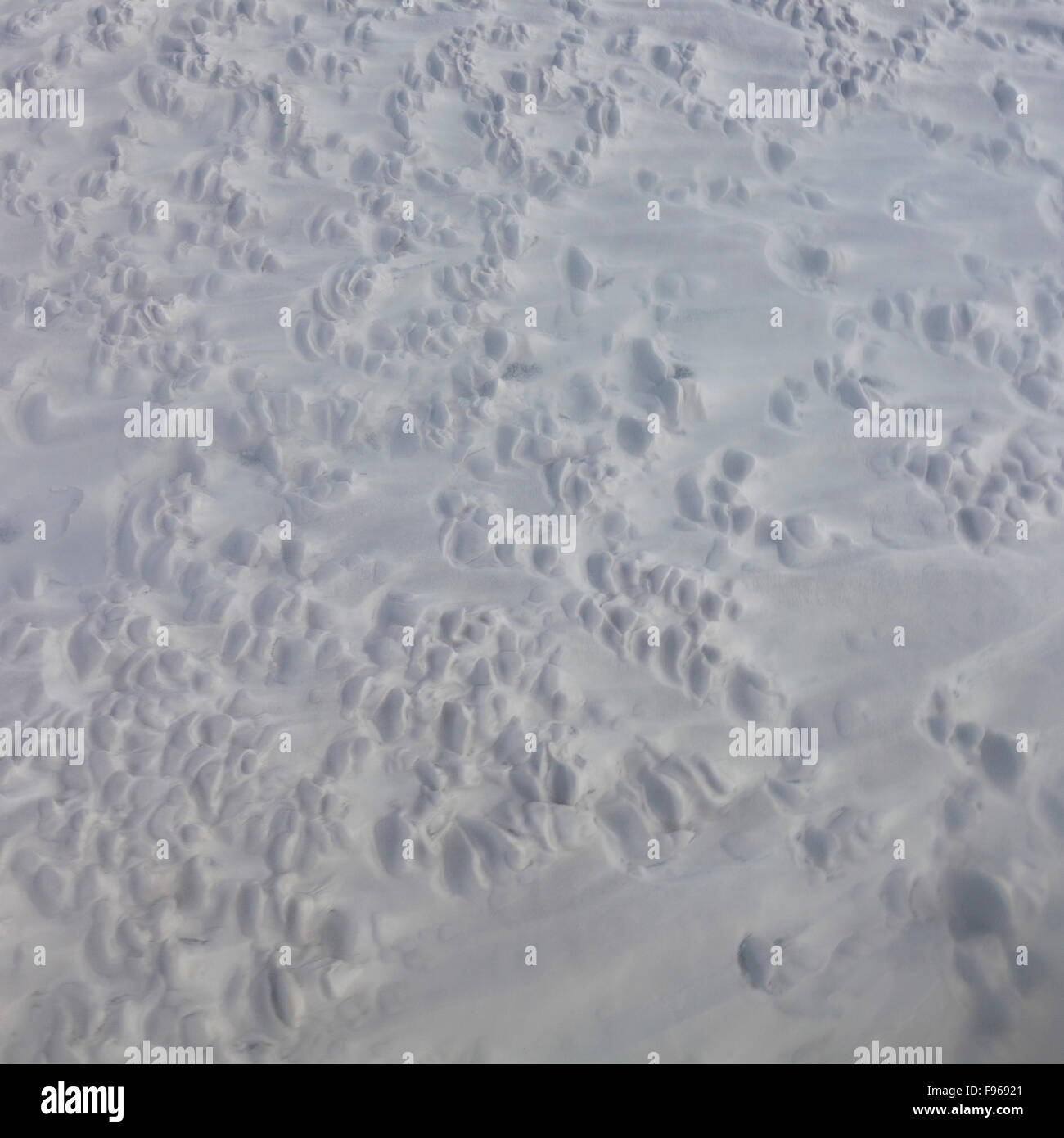 Depositi di silice e minerali, Gunnuhver primavera calda, penisola di Reykjanes, Islanda Foto Stock