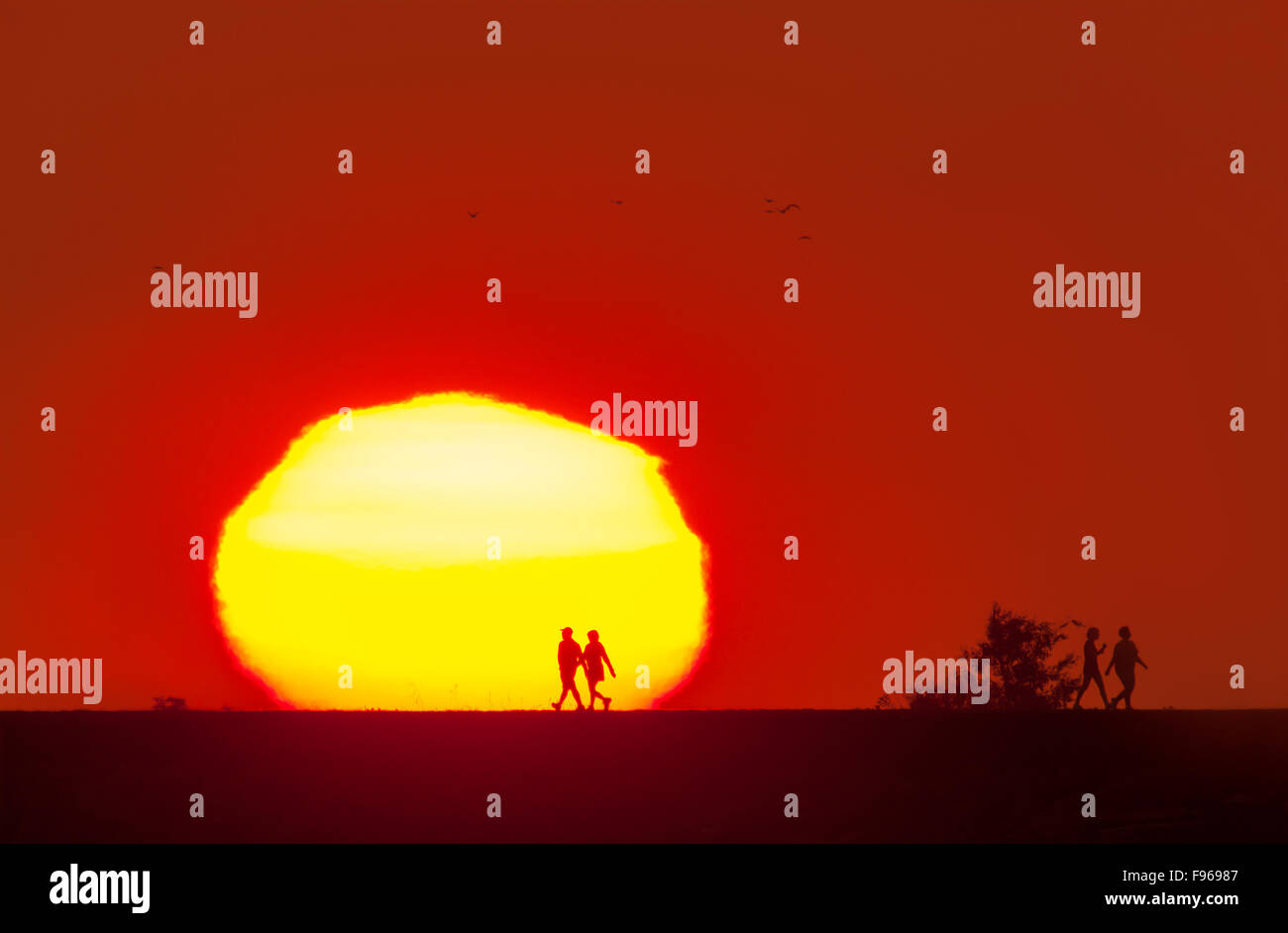 Le coppie camminando di fronte un tramonto spettacolare Isola di Iona, Richmond, British Columbia, Canada Foto Stock