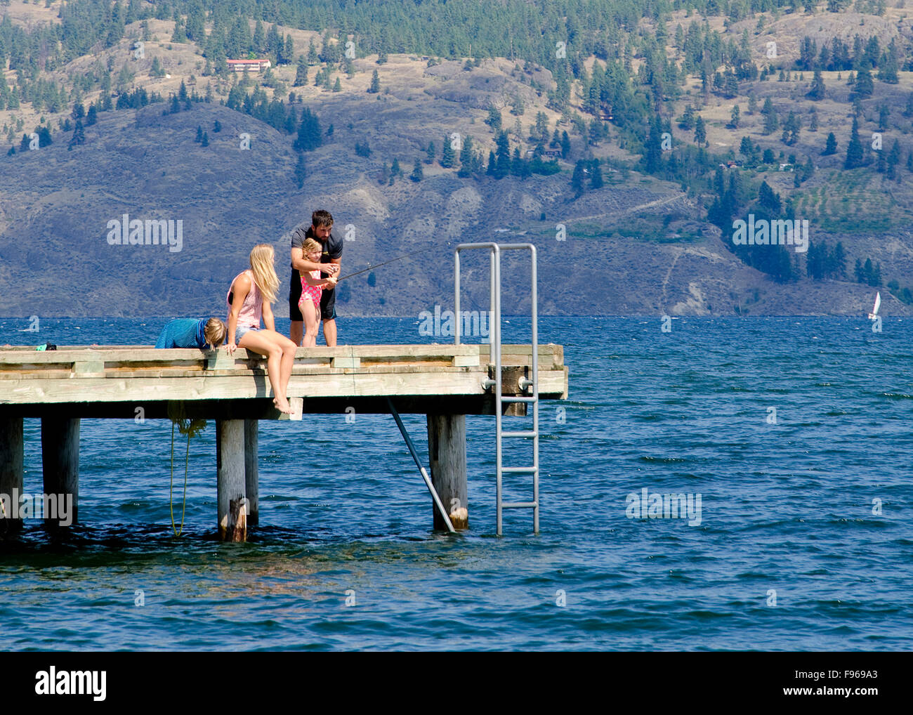 Famiglia di giovani pesci off il wharf al Parco rotante in Summerland, nella regione Okanagan della British Columbia, Canada. Foto Stock
