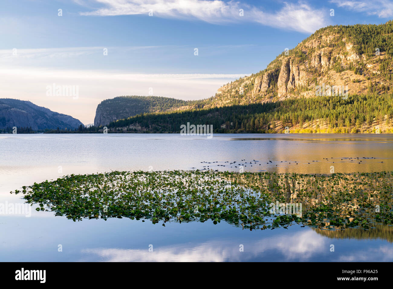 Vaseux Lago e mcintyre Bluff mountain a sunrise. Okanagan Falls, British Columbia, Canada. Foto Stock