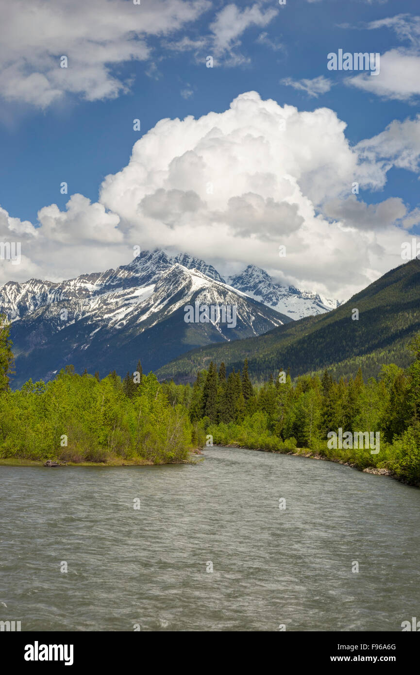 Fiume Lllecillewaet, Mount Revelstoke National Park, British Columbia, Canada Foto Stock