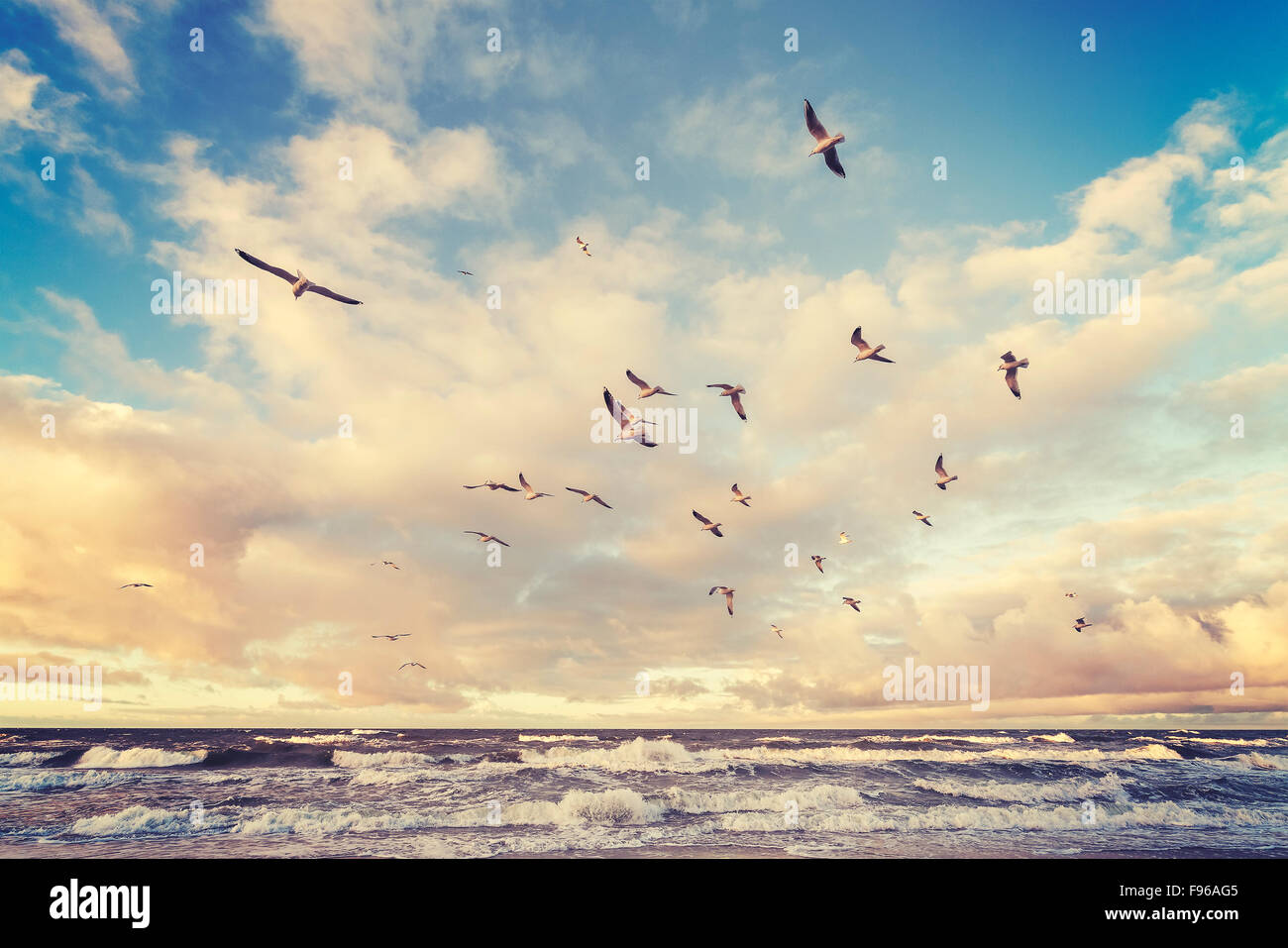 Vintage stilizzata uccelli in volo al di sopra di una spiaggia al tramonto. Foto Stock