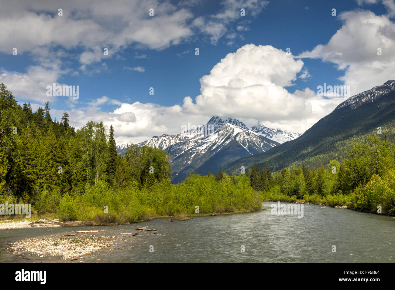 Fiume Lllecillewaet, Mount Revelstoke National Park, British Columbia, Canada Foto Stock