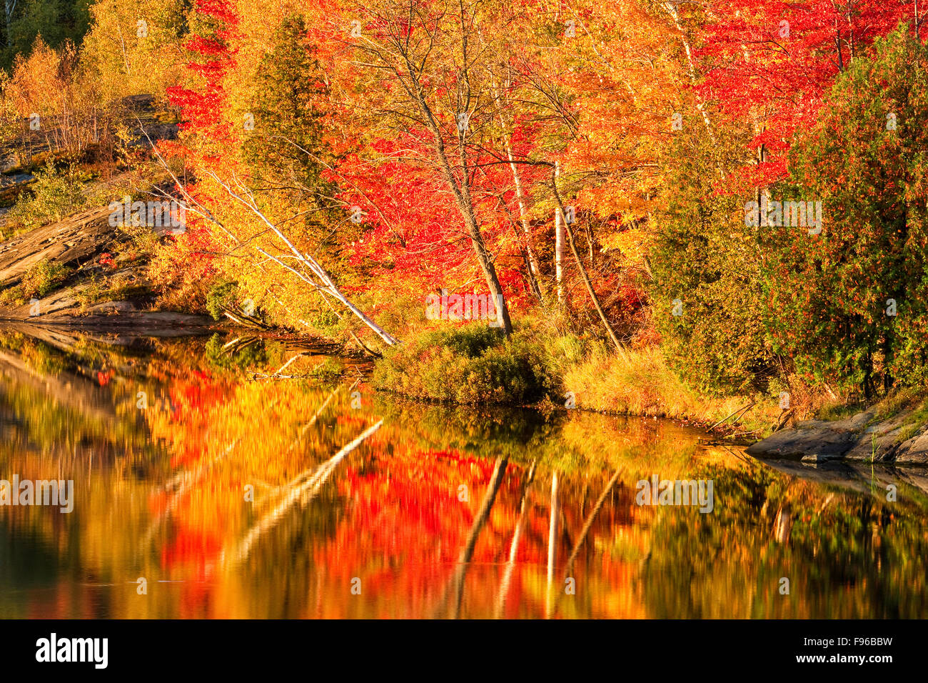 Autunno riflessioni, Simon Lago, Naughton, città di maggiore Sudbury, Ontario, Canada Foto Stock