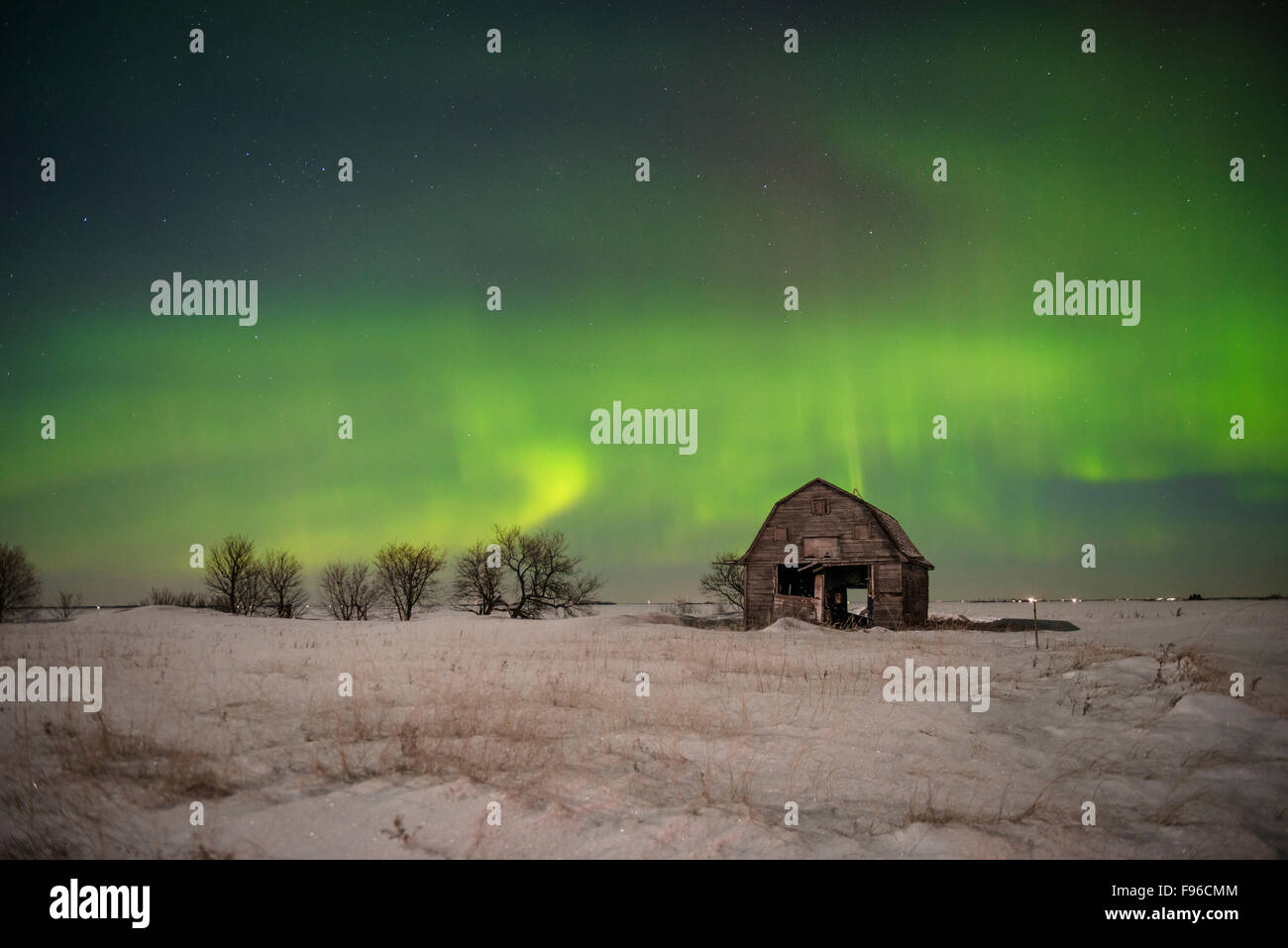 Luci del nord, Aurora Aurora Boreale, Manitoba, a sud-est di Manitoba, Canada, Giromagnetico Tempesta, Aurora Tempesta, inverno Foto Stock