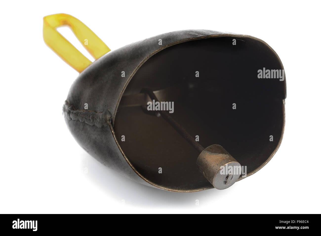 Alpi campanaccio con fascetta gialla isolato su bianco Foto Stock