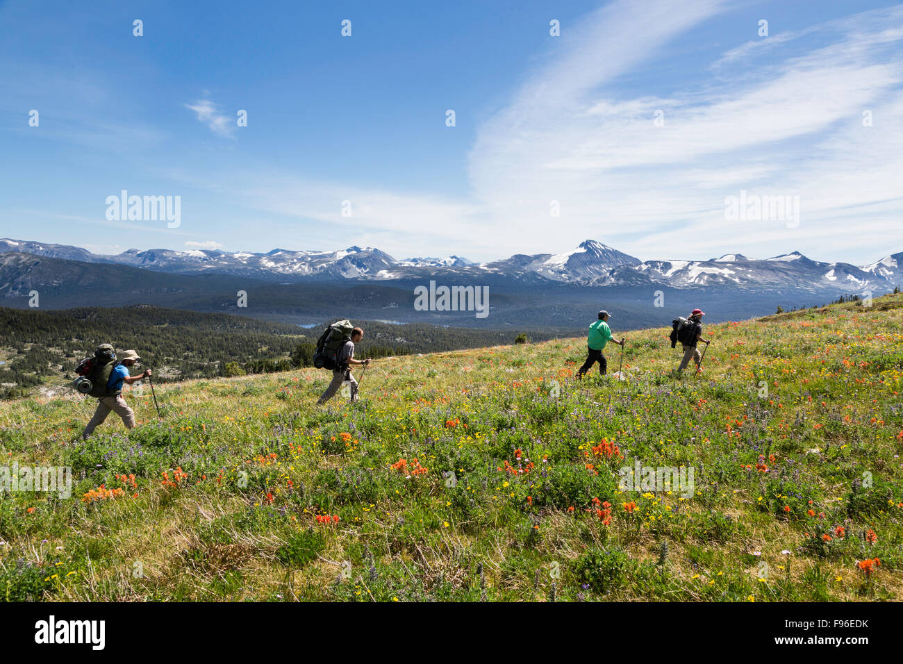 La British Columbia, Canada, Charlotte Alplands, regione Chilcotin, Chilcotin Arca, escursionismo, sci alpino, Foto Stock